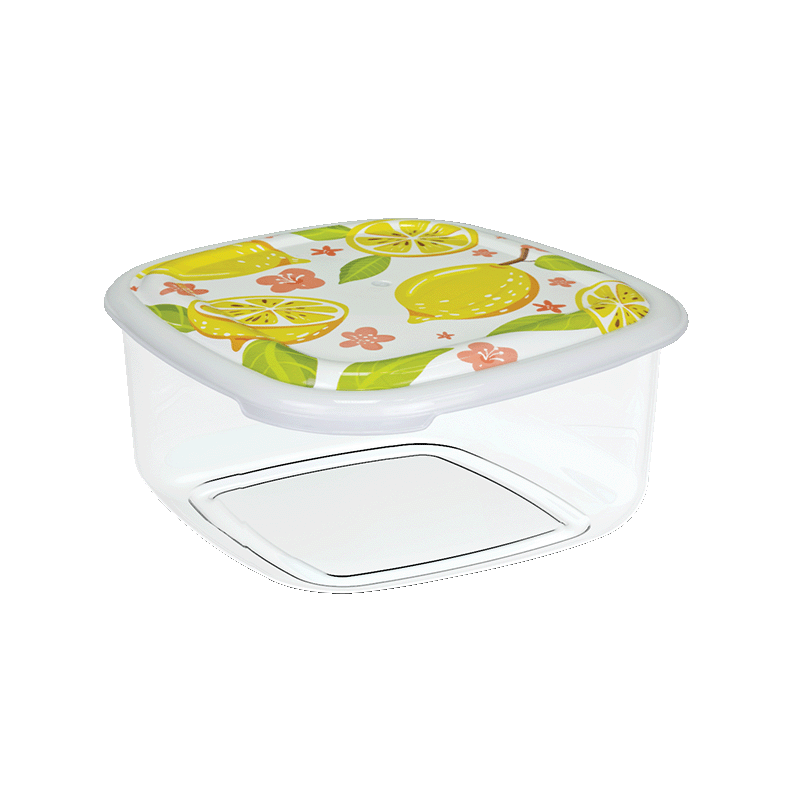 KM0005 Kare Saklama Kapları 2'Li Set